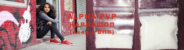 сатива Аркадак