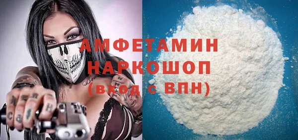 сатива Аркадак